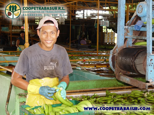 Coopetrabasur