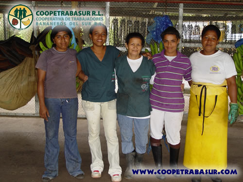 Coopetrabasur