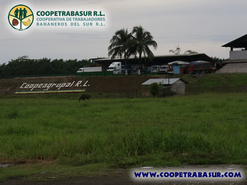 Coopetrabasur