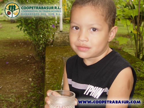 Coopetrabasur