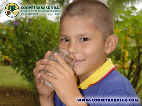 Coopetrabasur